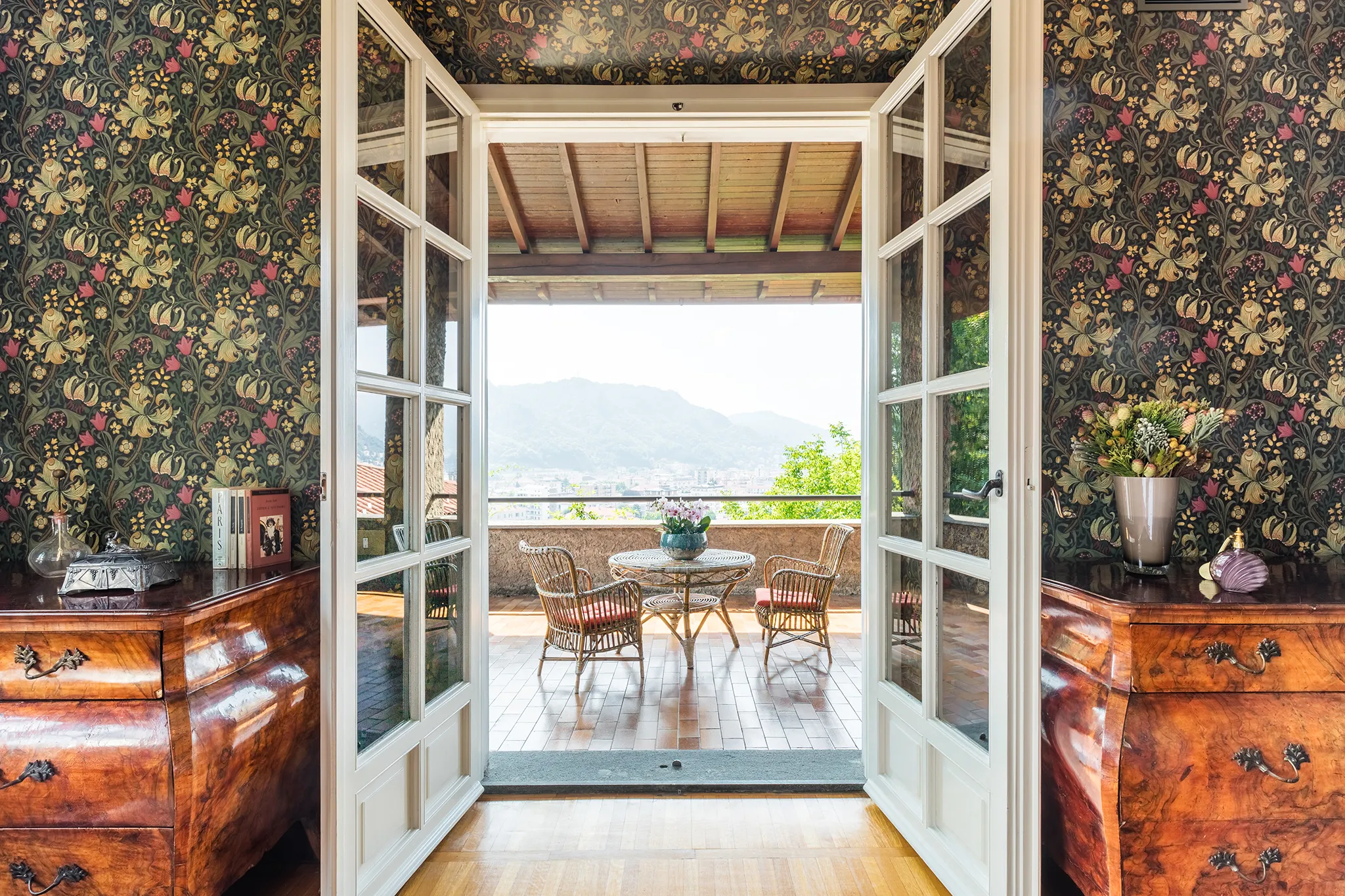 Location Foto Jacaranda