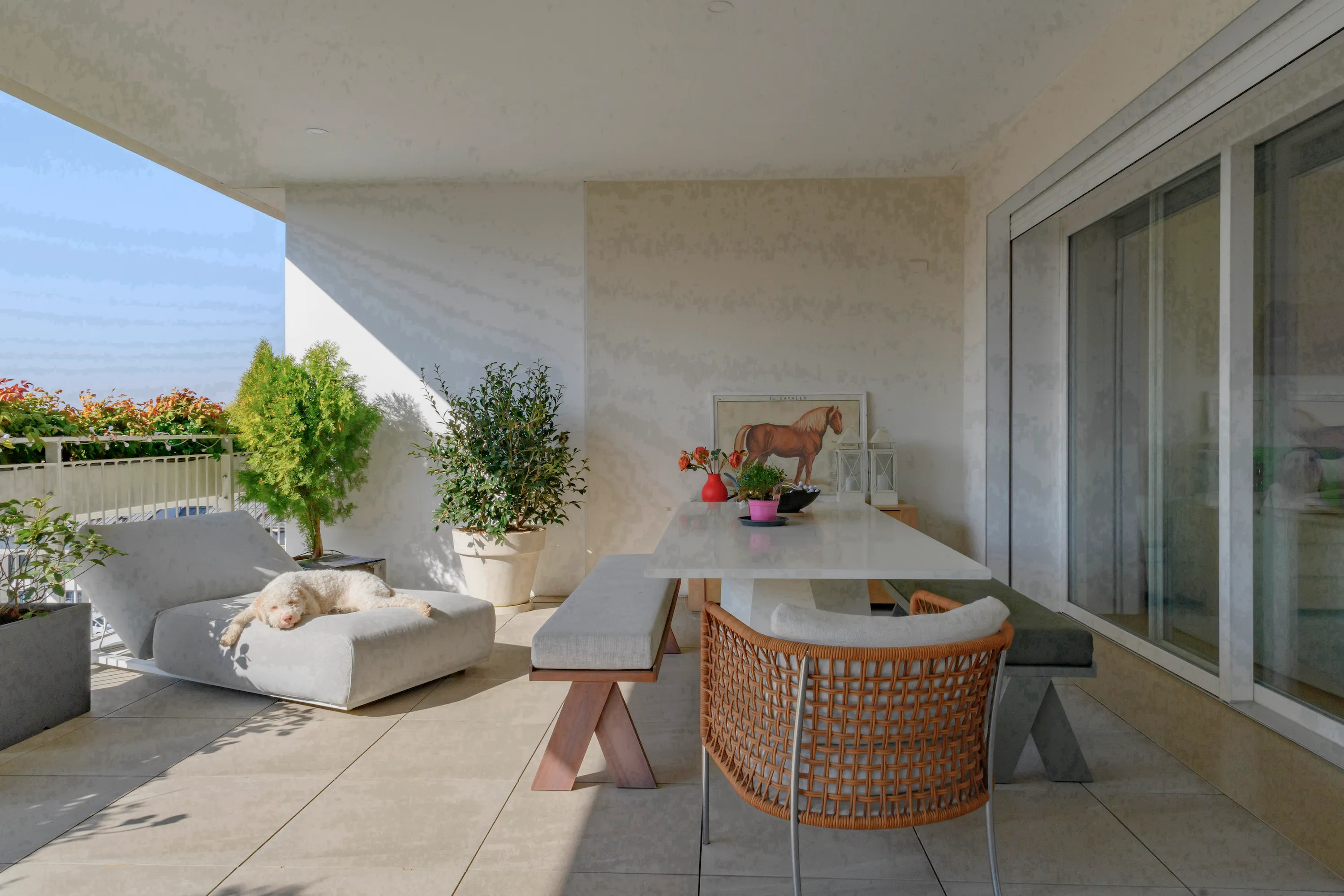 La terrazza della Location Wax Flower