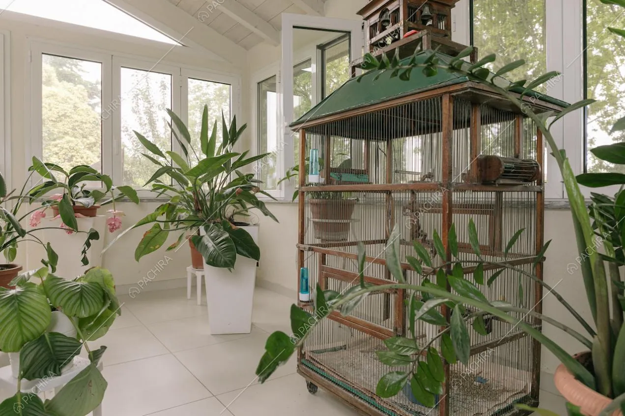 Veranda interna con piante e fiori