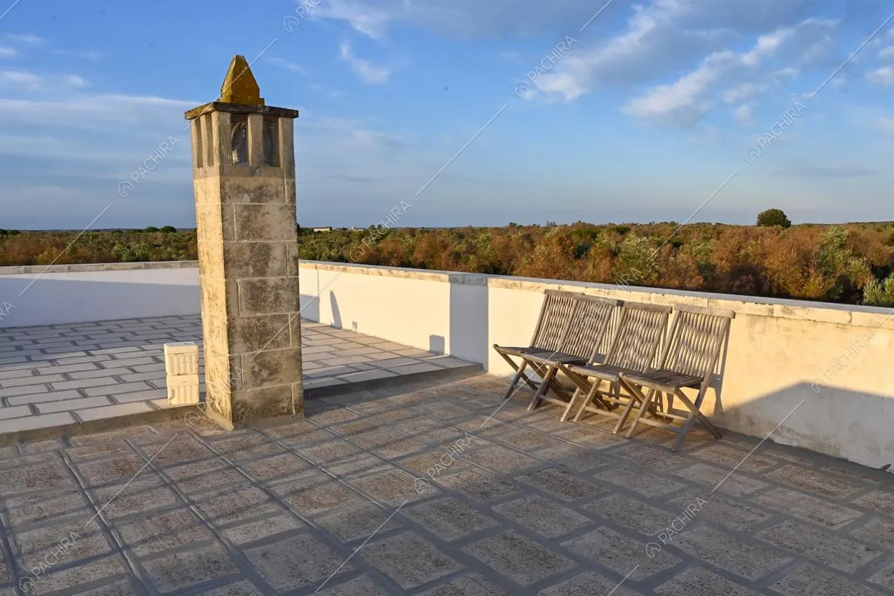 Tetto della villa, con vista panoramica sugli ulivi, usato come terrazza