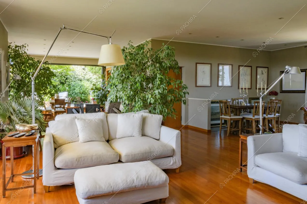 Zona giorno con divani, parquet, lampade da terra e piante