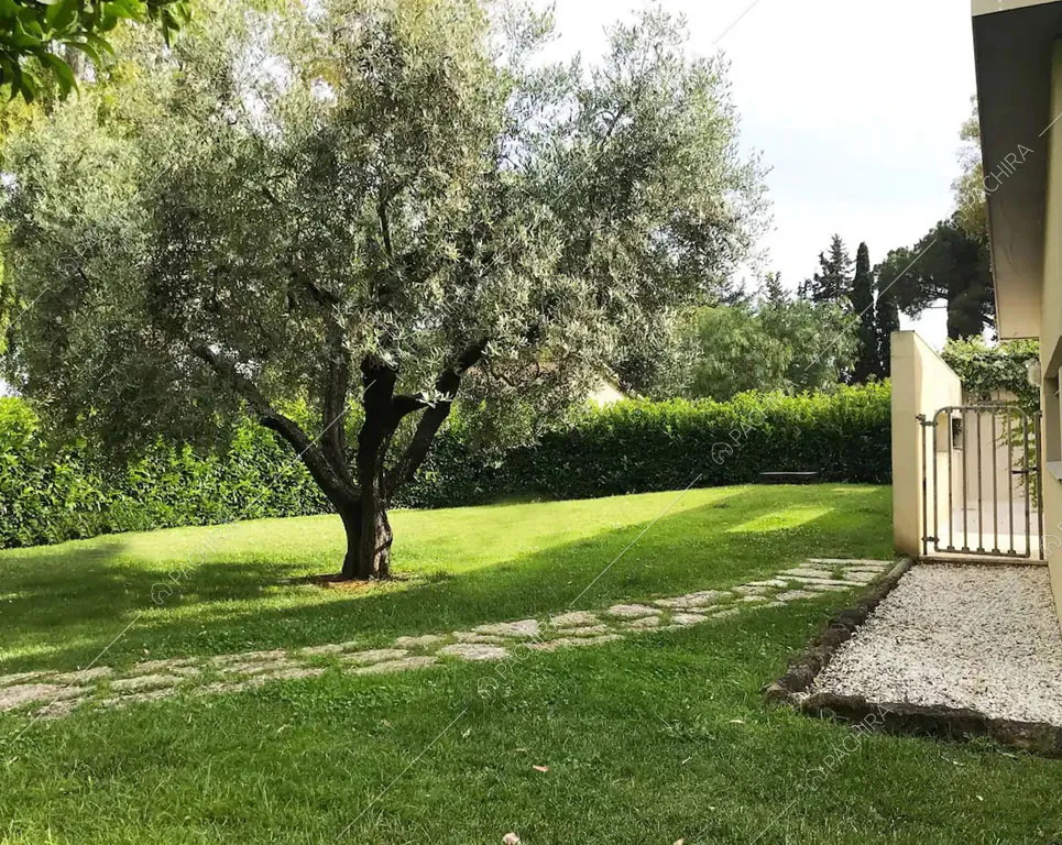Giardino della villa Giba, location in stile moderno a Latina