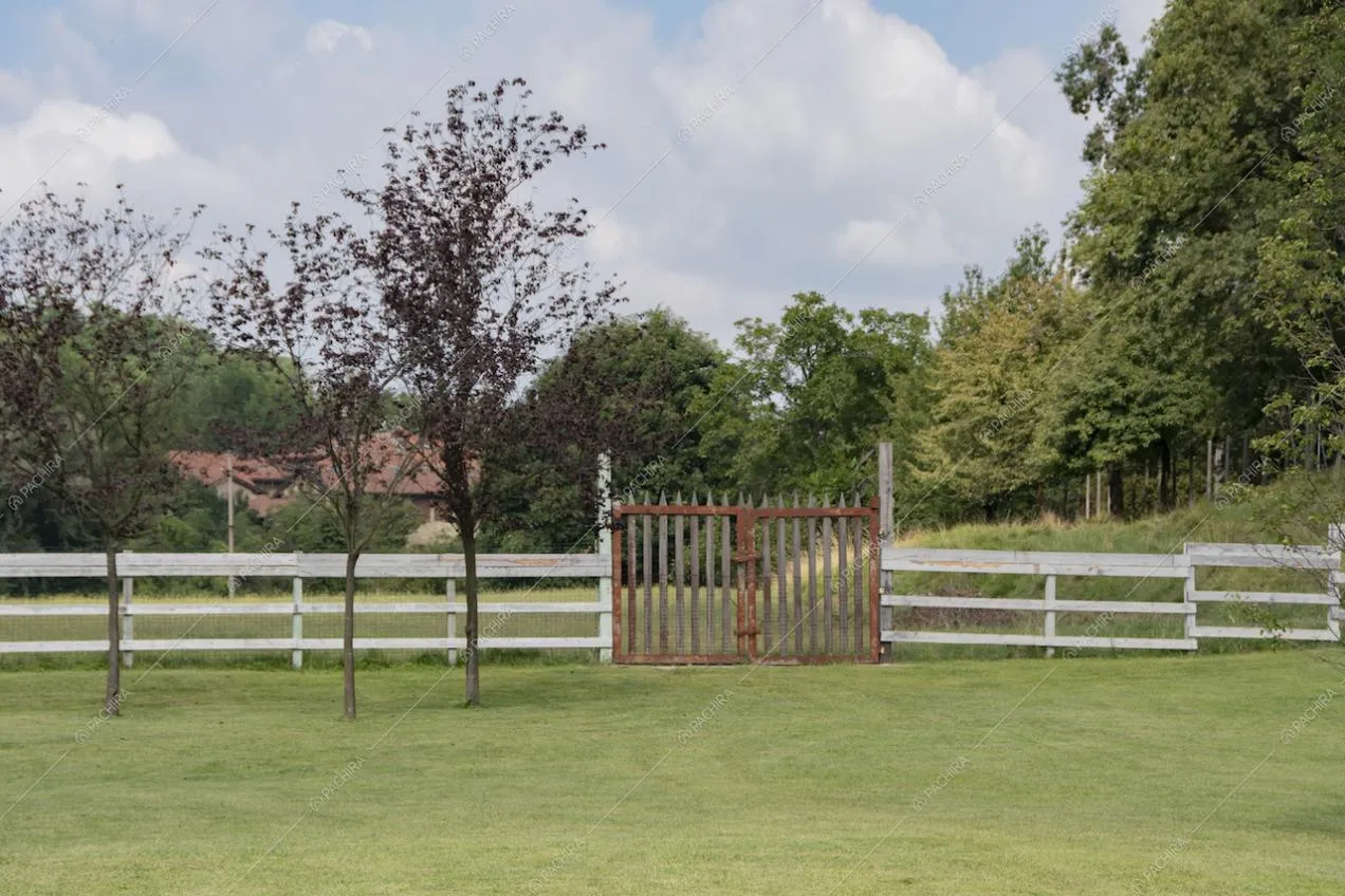 Location Orchidea villa provincia Monza Brianza 18