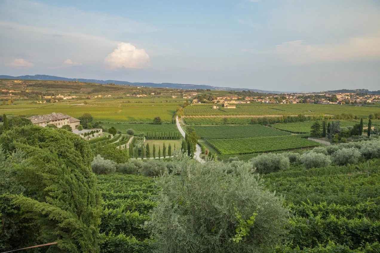 La vista panoramica sui colli veneti dalla Location Liquidambar