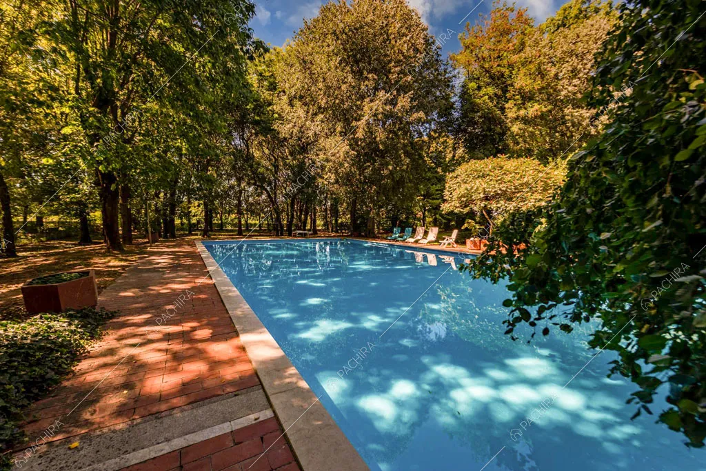 Grande piscina nel giardino della location pieno di alberi
