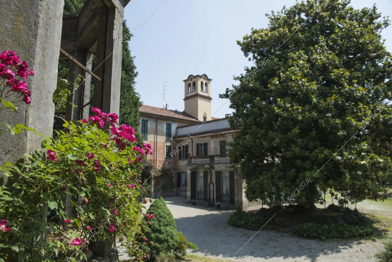 Cortile con albero e ciottoli