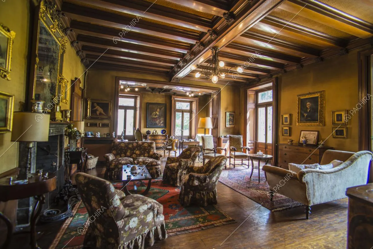 Zona living con camino, mobili d'epoca