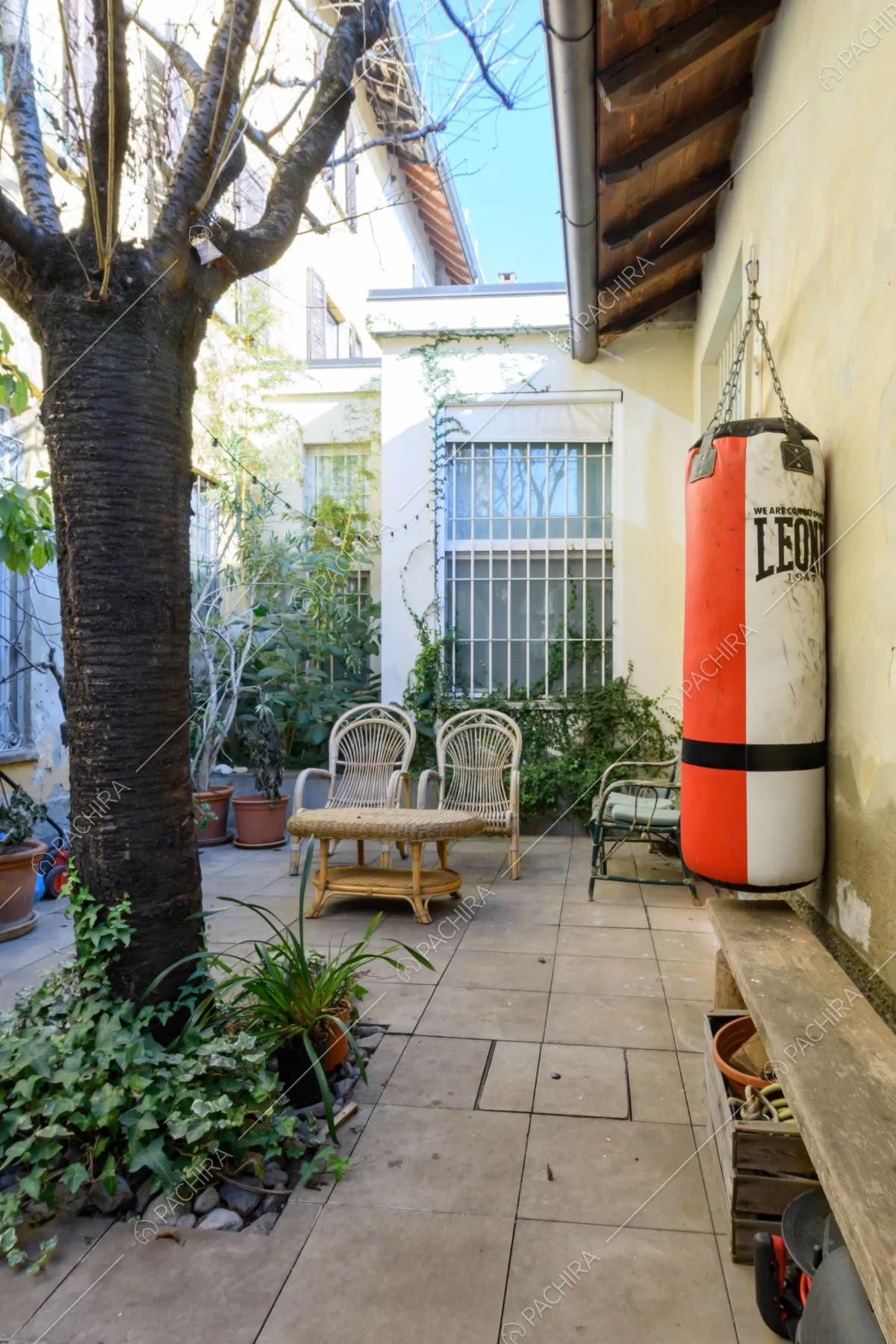 Sedie e tavolo da esterni nel cortile con albero e sacco da boxe