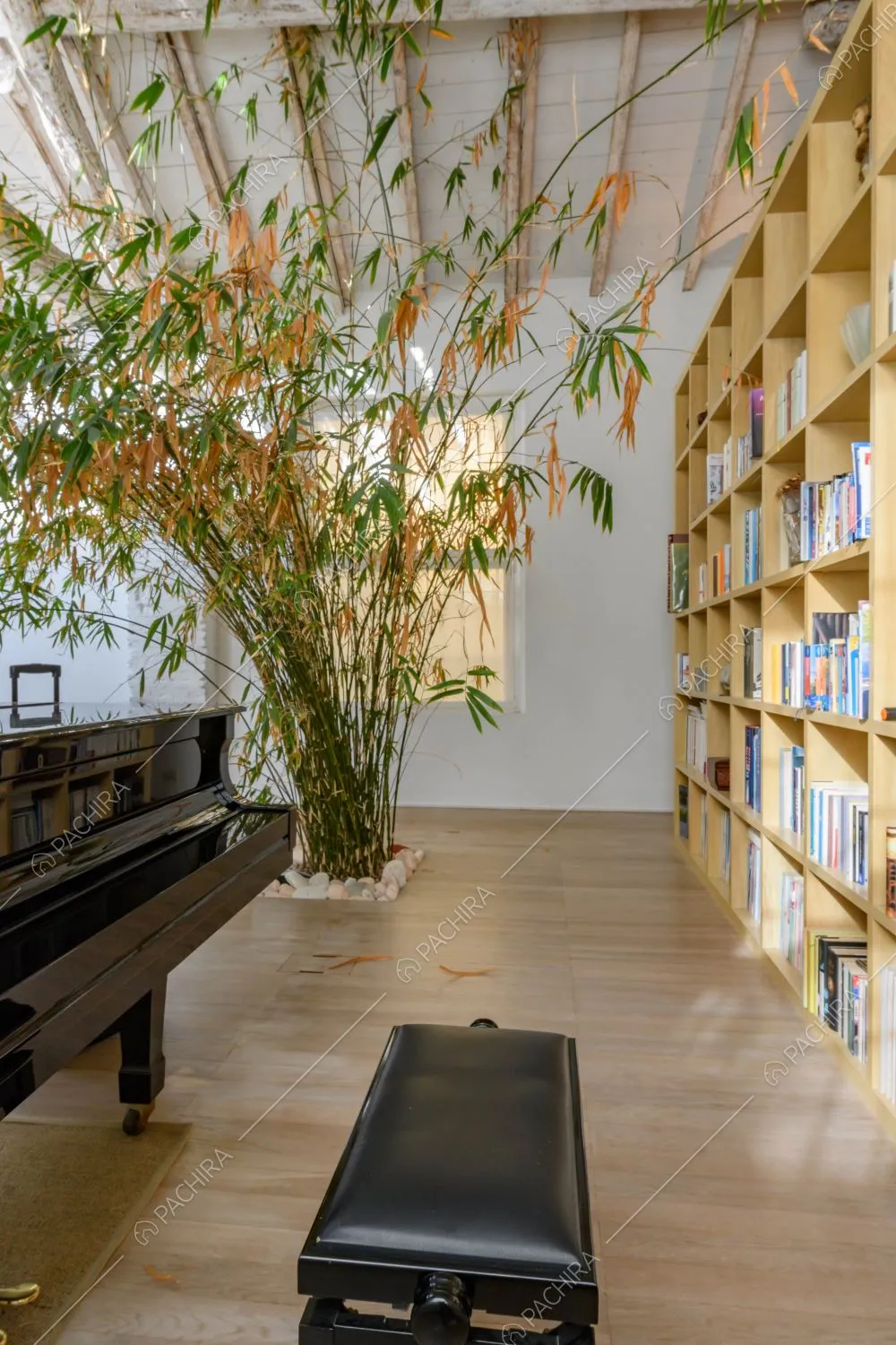 Zona living con pianoforte nero, libreria a parete gialla e grande pianta di bambù