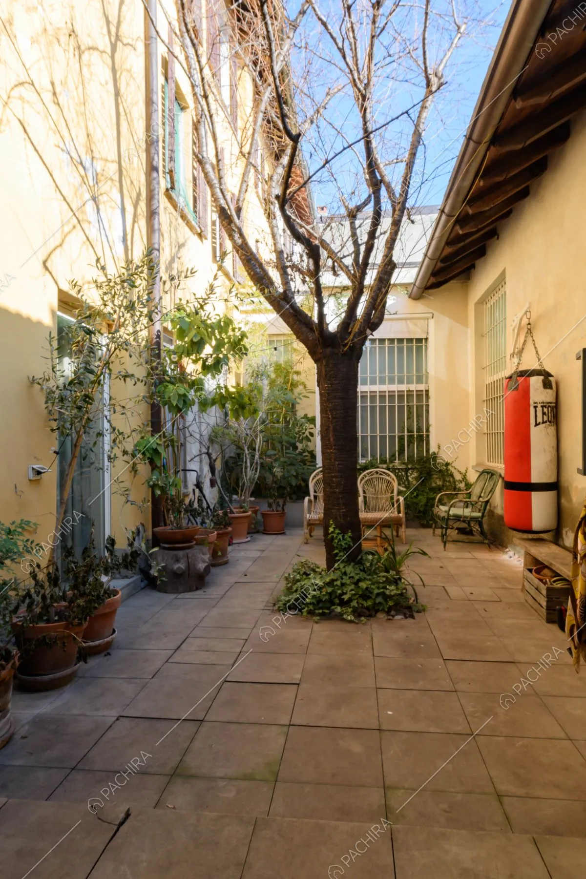 Cortile della location con sacco da boxe e albero