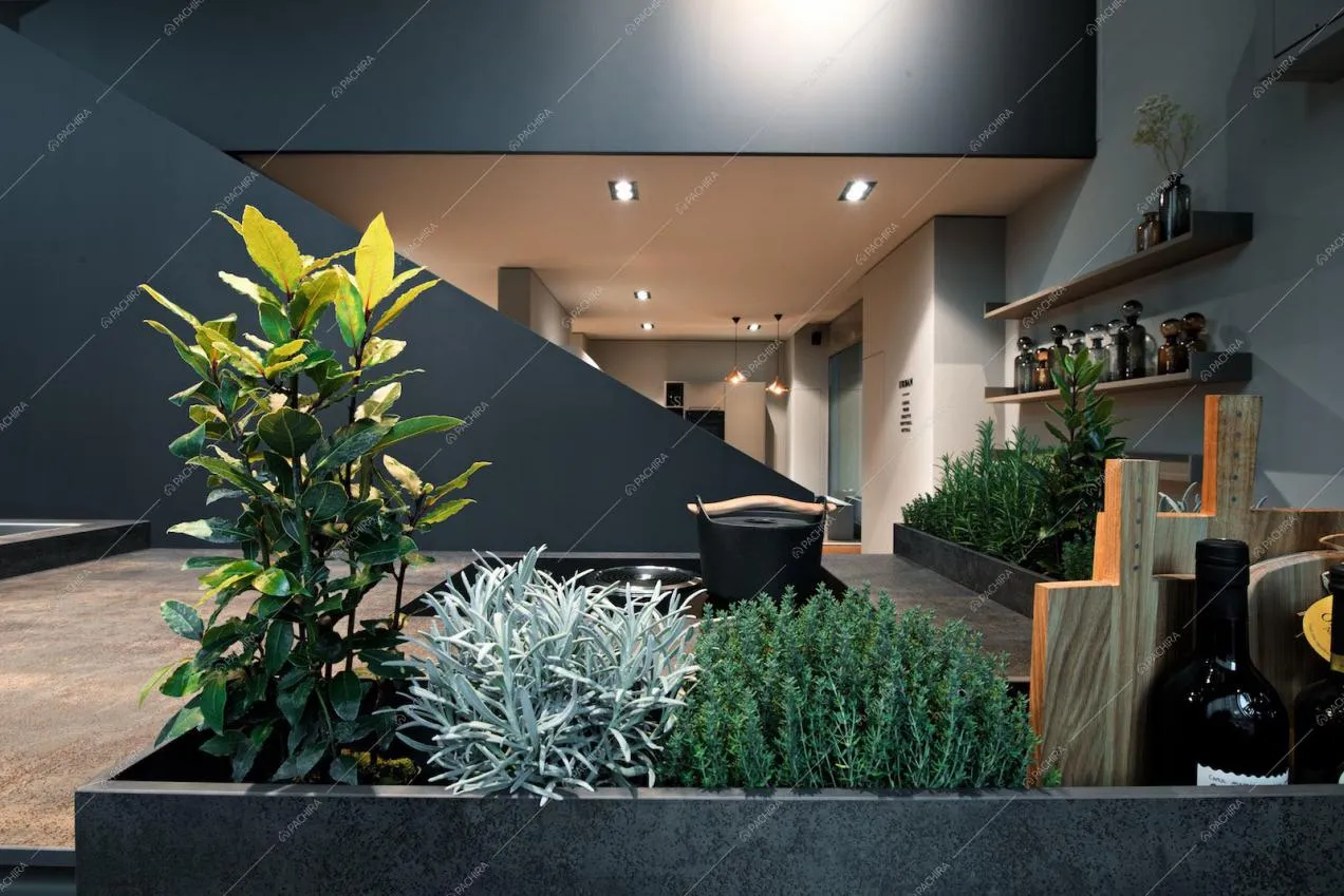Location Callisia espositivo Milano 16