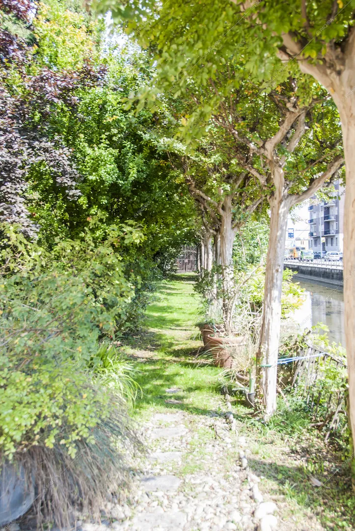 Location Celidonia villa Milano 11