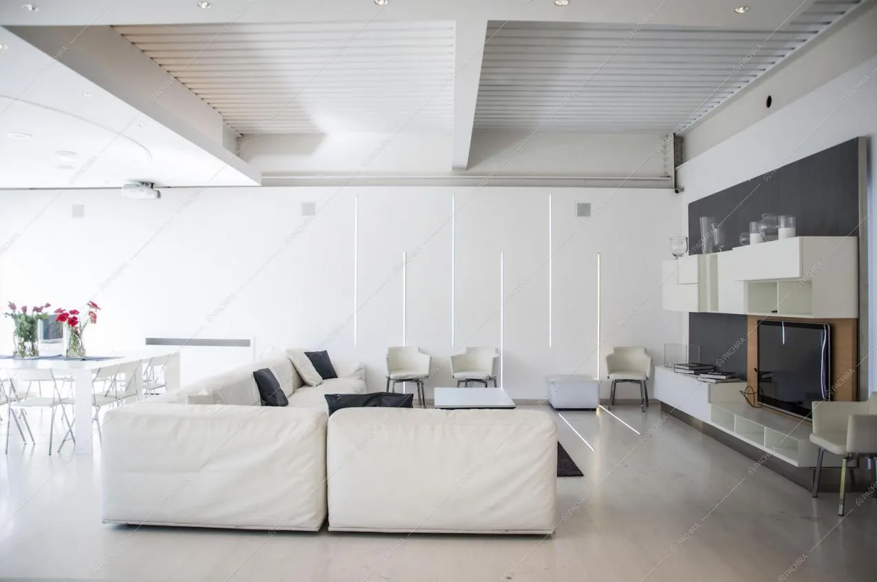 location Dionea loft Milano 14