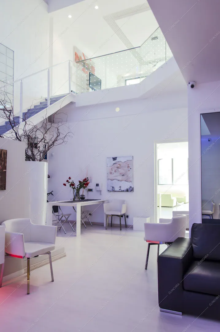 location Dionea loft Milano 1