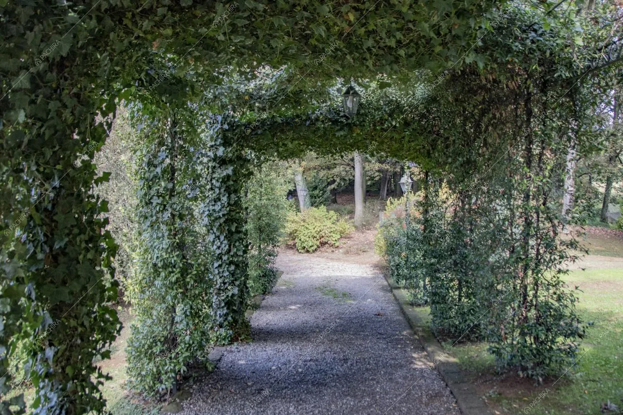 Archi da giardino ricoperti di rampicanti sul vialetto