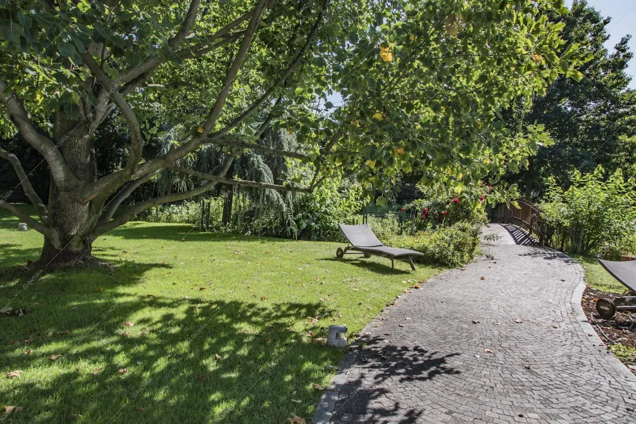 Vialetto nel giardino pieno di alberi