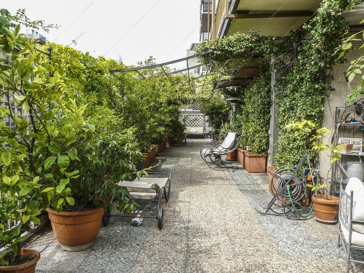 Terrazza con pergola, sdraio e piante