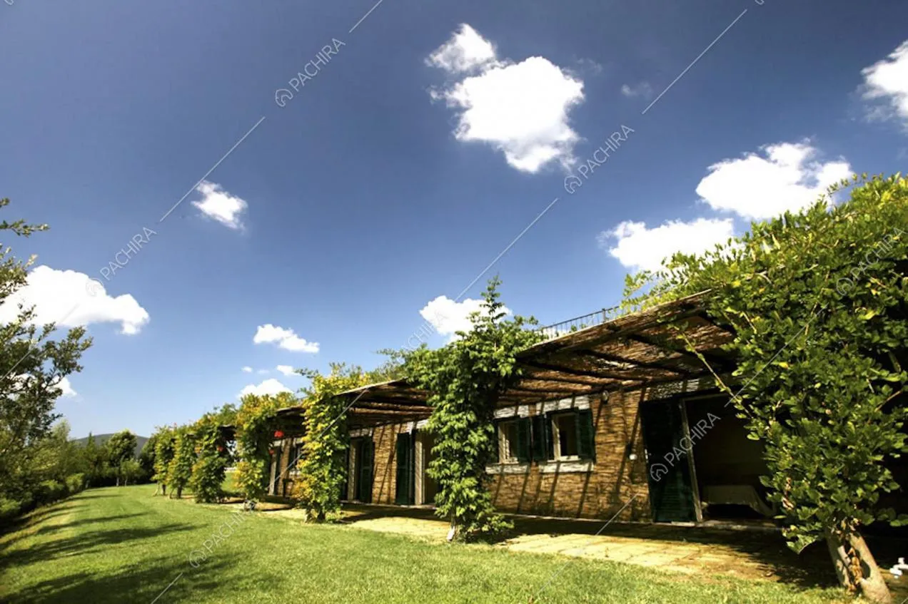 Location Lappio villa provincia di Grosseto 23