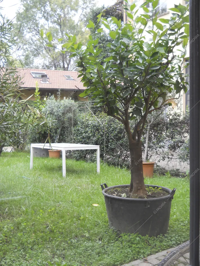 Nel giardino della location piante e tavolo bianco