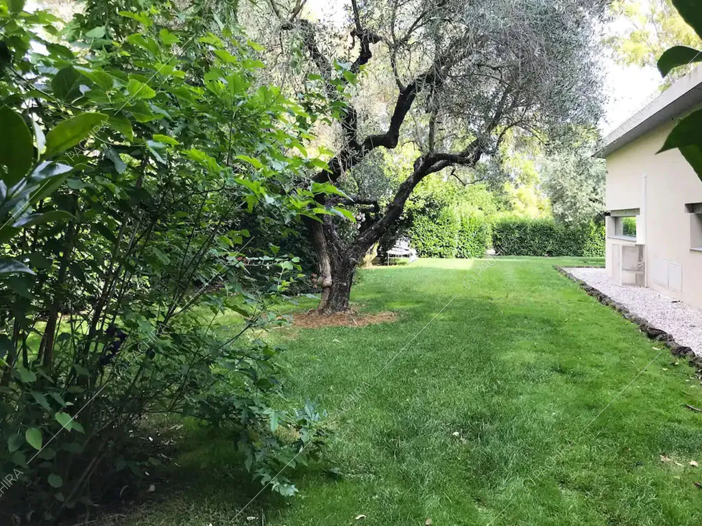 Giardino della villa Giba, location in stile moderno a Latina