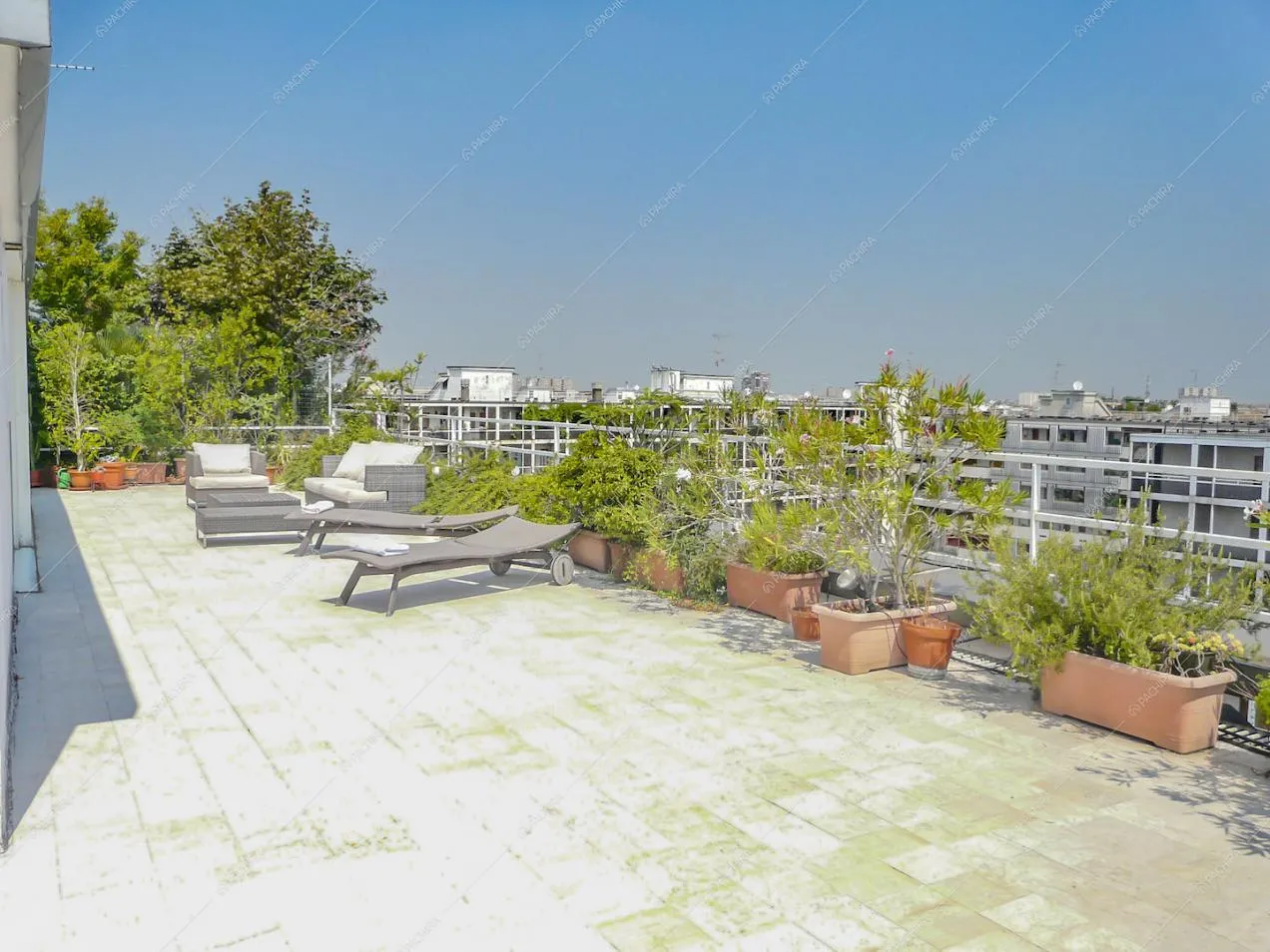Piante, sdraio e divanetti in terrazza