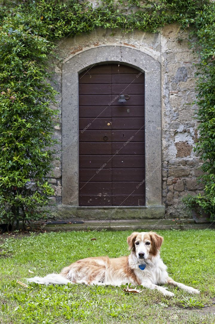 Location Ravenea villa provincia di Viterbo 3