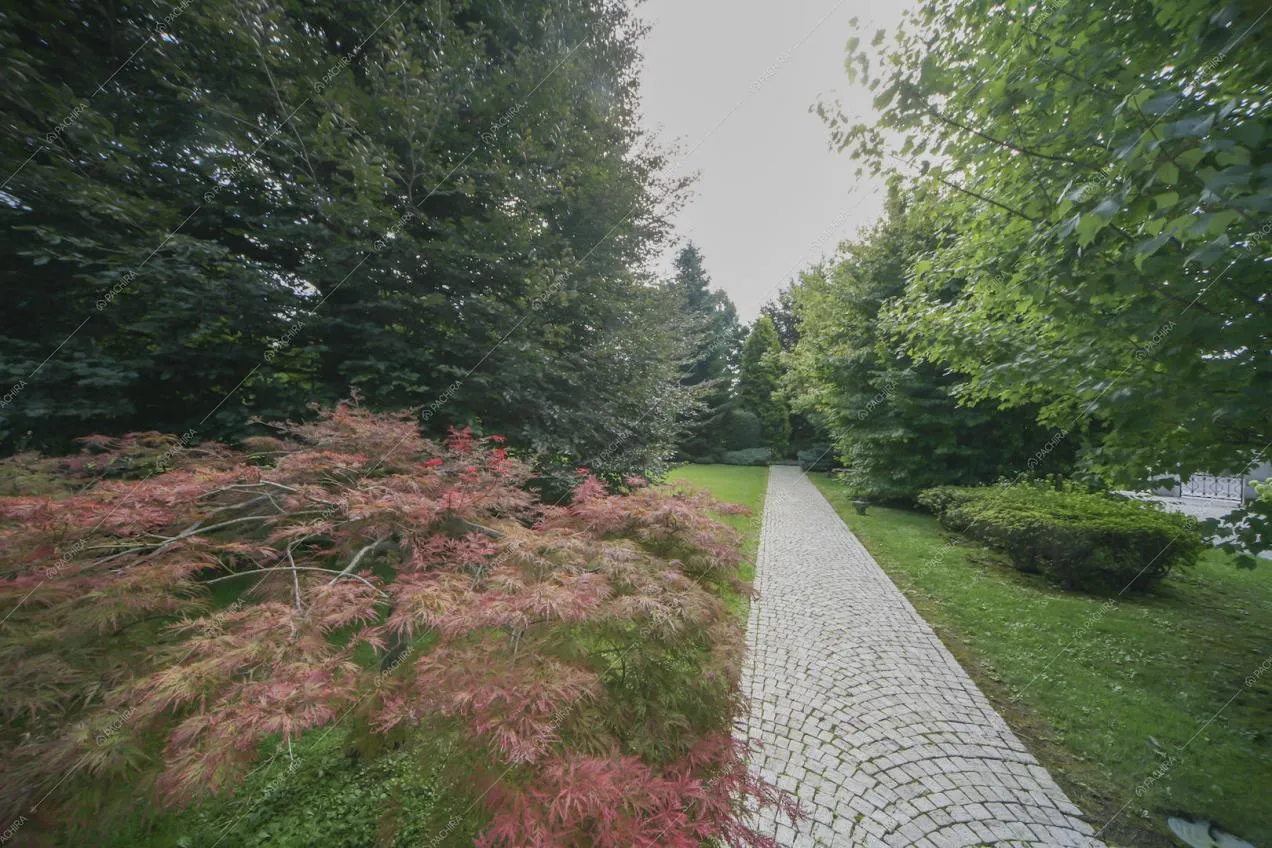 Location Rododendro villa provincia di Milano 7