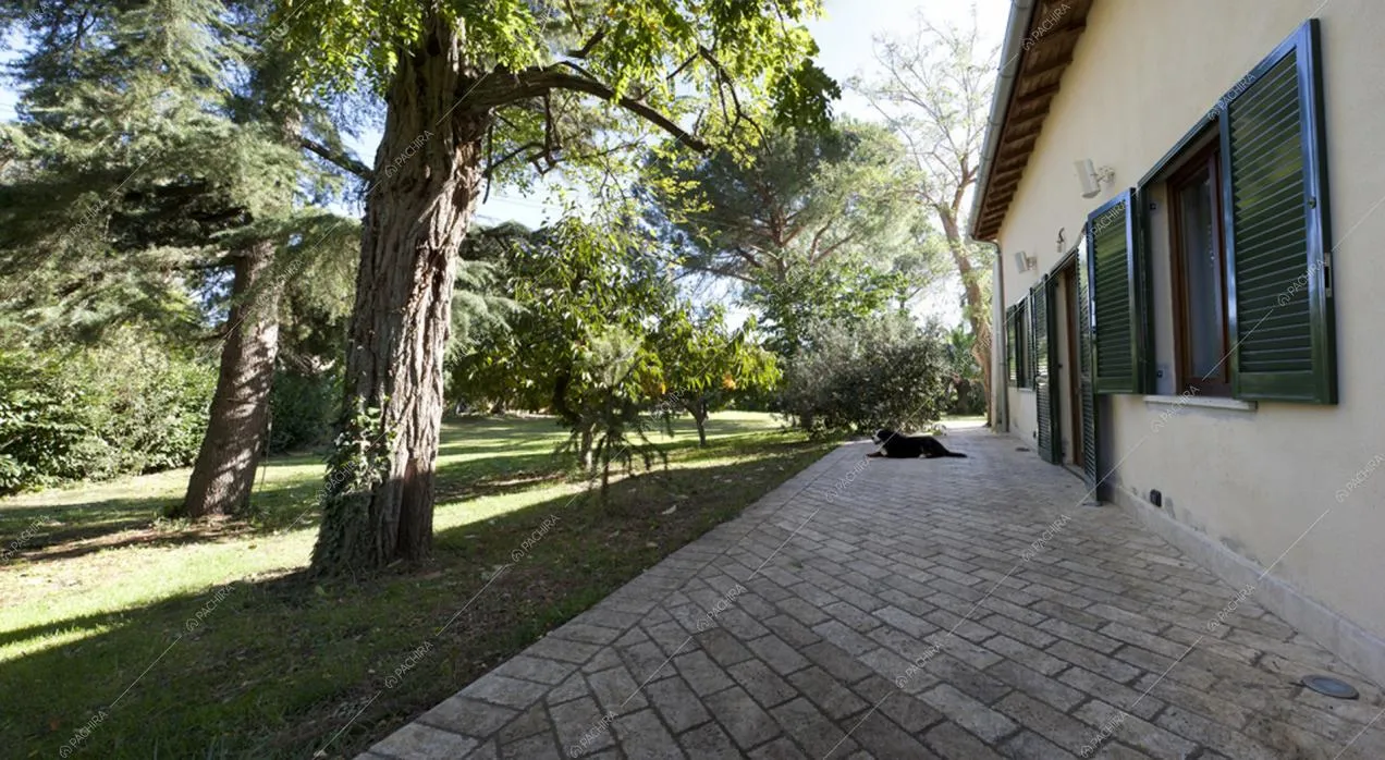 Location Rosmarino villa Roma 21