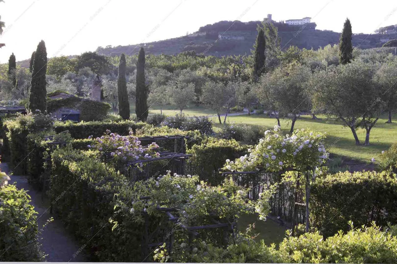 Location Serenella villa provincia di Pistoia 28