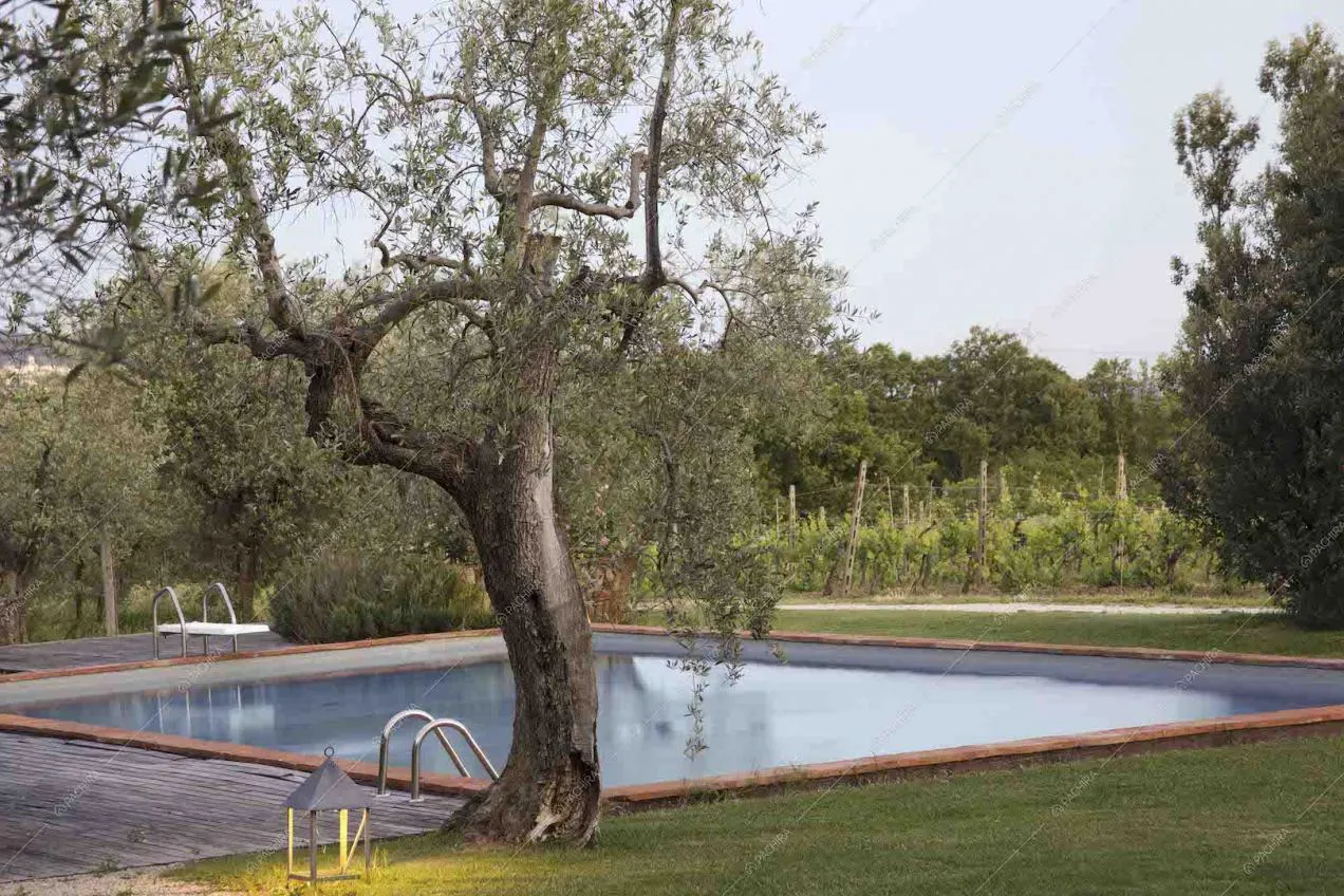 Location Serenella villa provincia di Pistoia 42