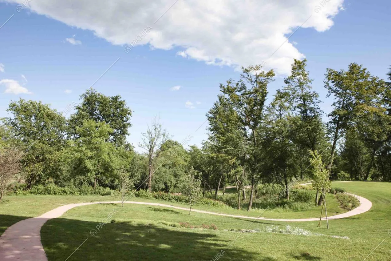 Vialetto fa lo slalom tra gli alberi della villa