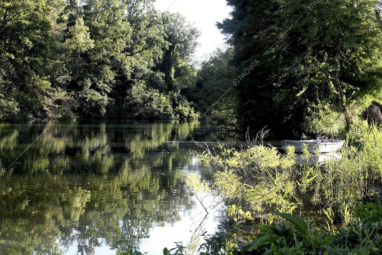 Laghetto della villa circondato dal verde