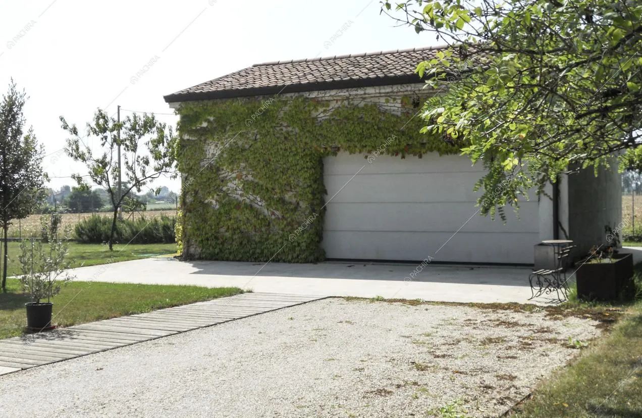 Capanno bianco con rampicanti