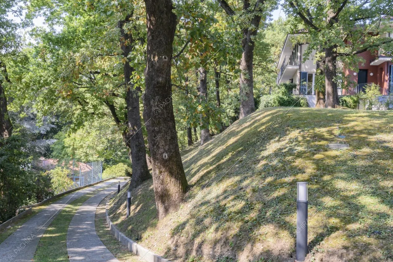 Vialetto d'accesso per le auto e vista sulla villa