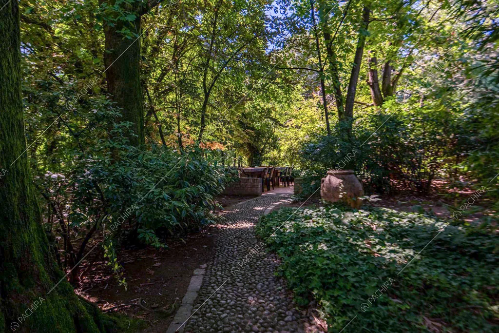 Vialetto in ciottolato nel grande giardino