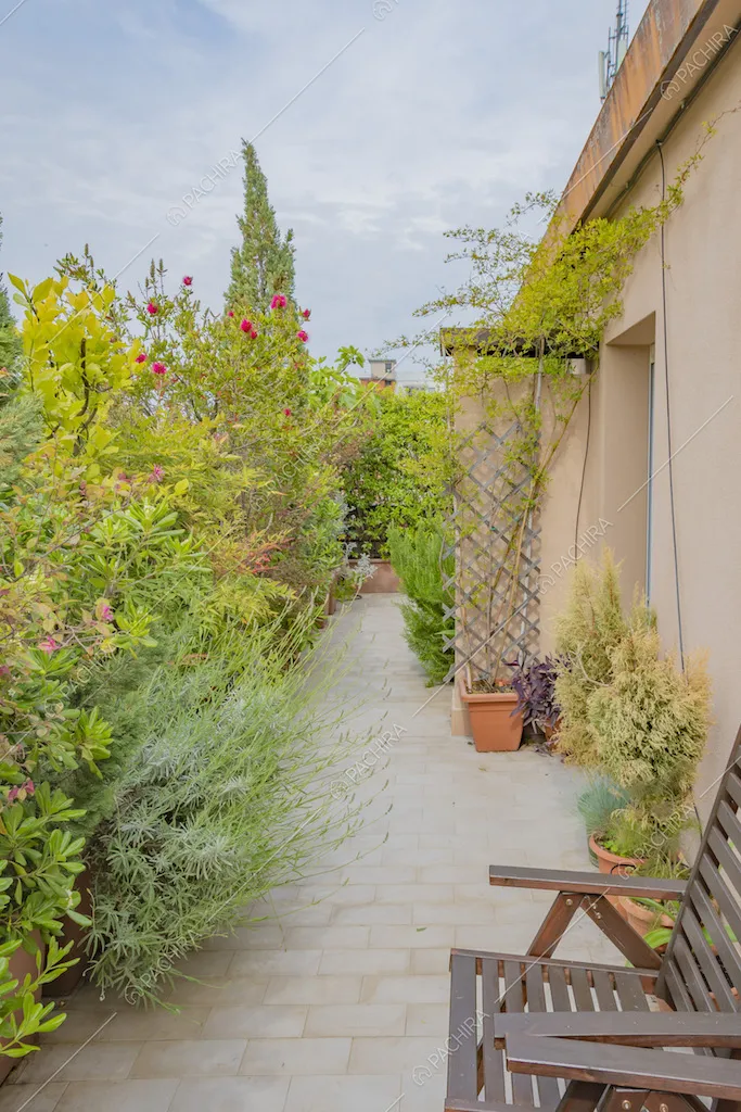 Terrazza con sedie da esterni in legno e piante