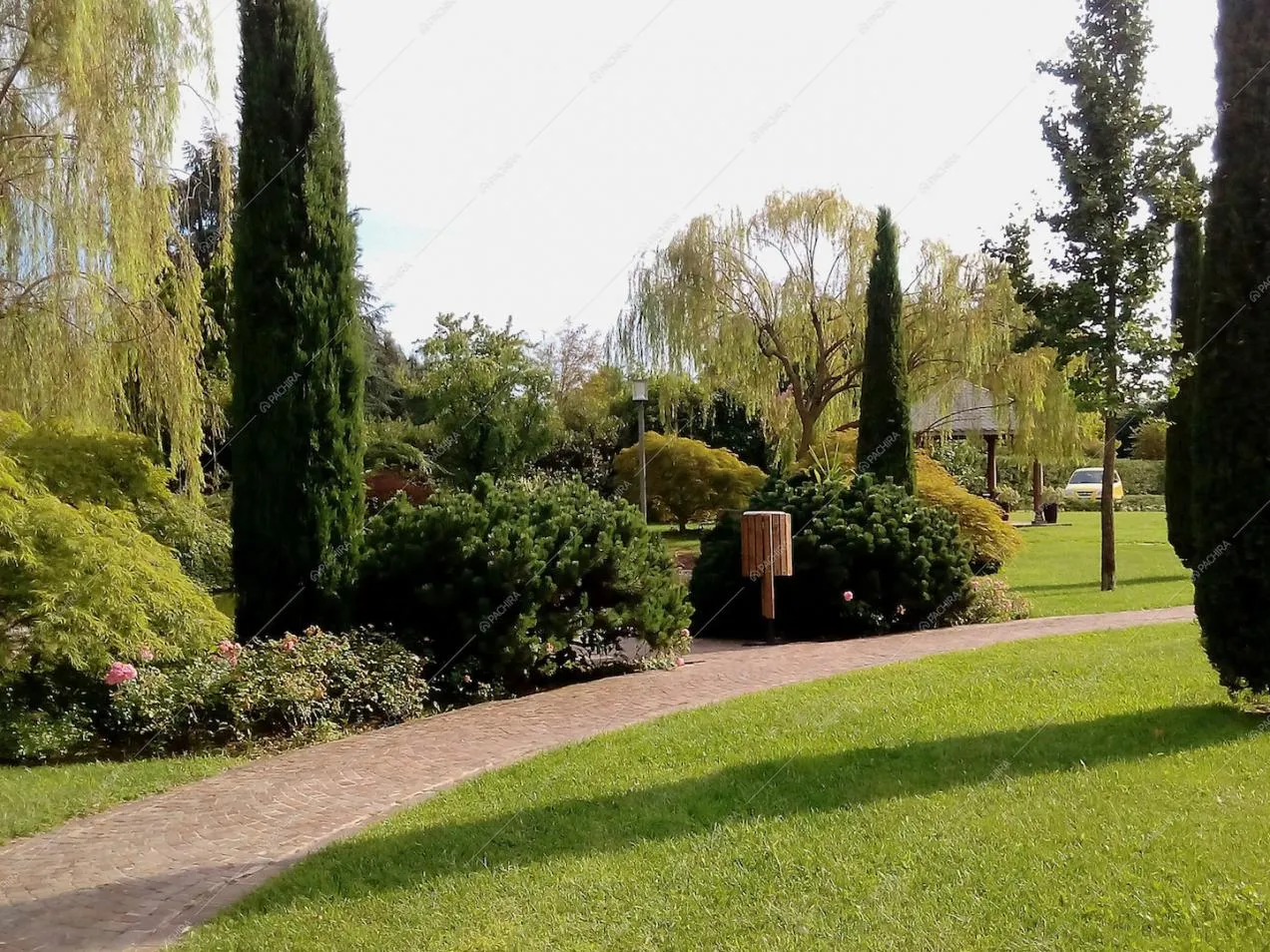 Veduta sul parco con salici piangenti