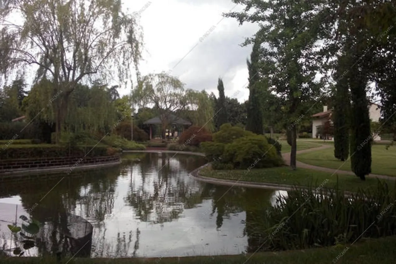 Laghetto con veduta sul parco