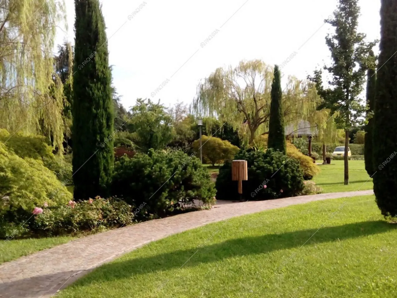 Vialetto di ingresso al giardino con cipressi e siepi