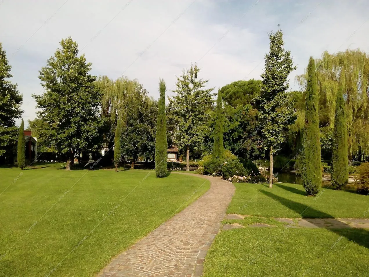 Veduta sul viale e sul laghetto