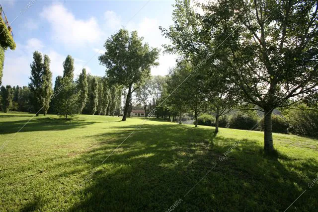 Panoramica sui molti tipi di alberi che si possono incontrare nel parco
