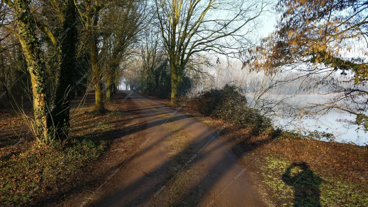 Vialetto alberato con vista lago