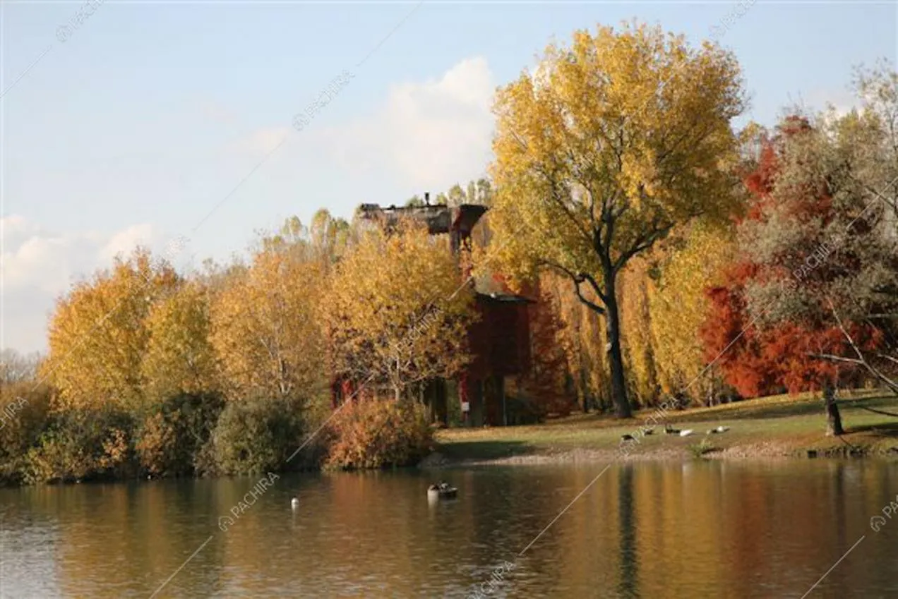 I colori dell'autunno nella location Pioppo