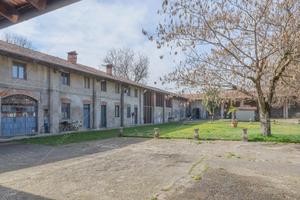 Cortile della location con grande albero, esterni grigi e porta a vetri