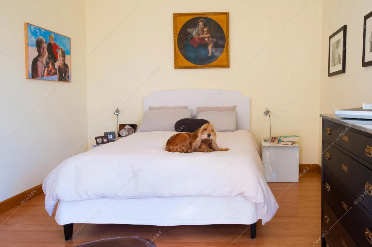Camera da letto con lenzuola bianche e...un simpatico cockerino!