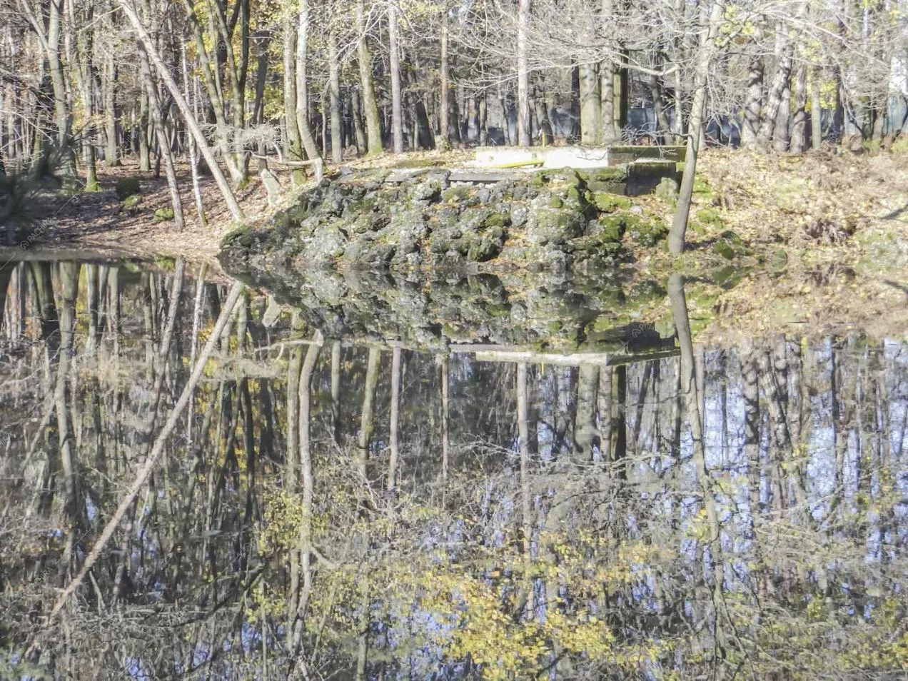 Stagno nascosto nell'immenso parco della location Potus