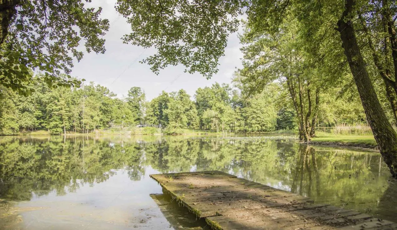 Specchio d'acqua con pontile in legno nel grande parco della location