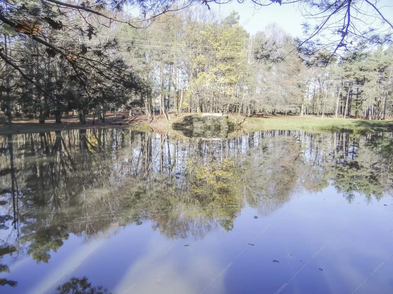 Specchio d'acqua nel grande parco della location Potus