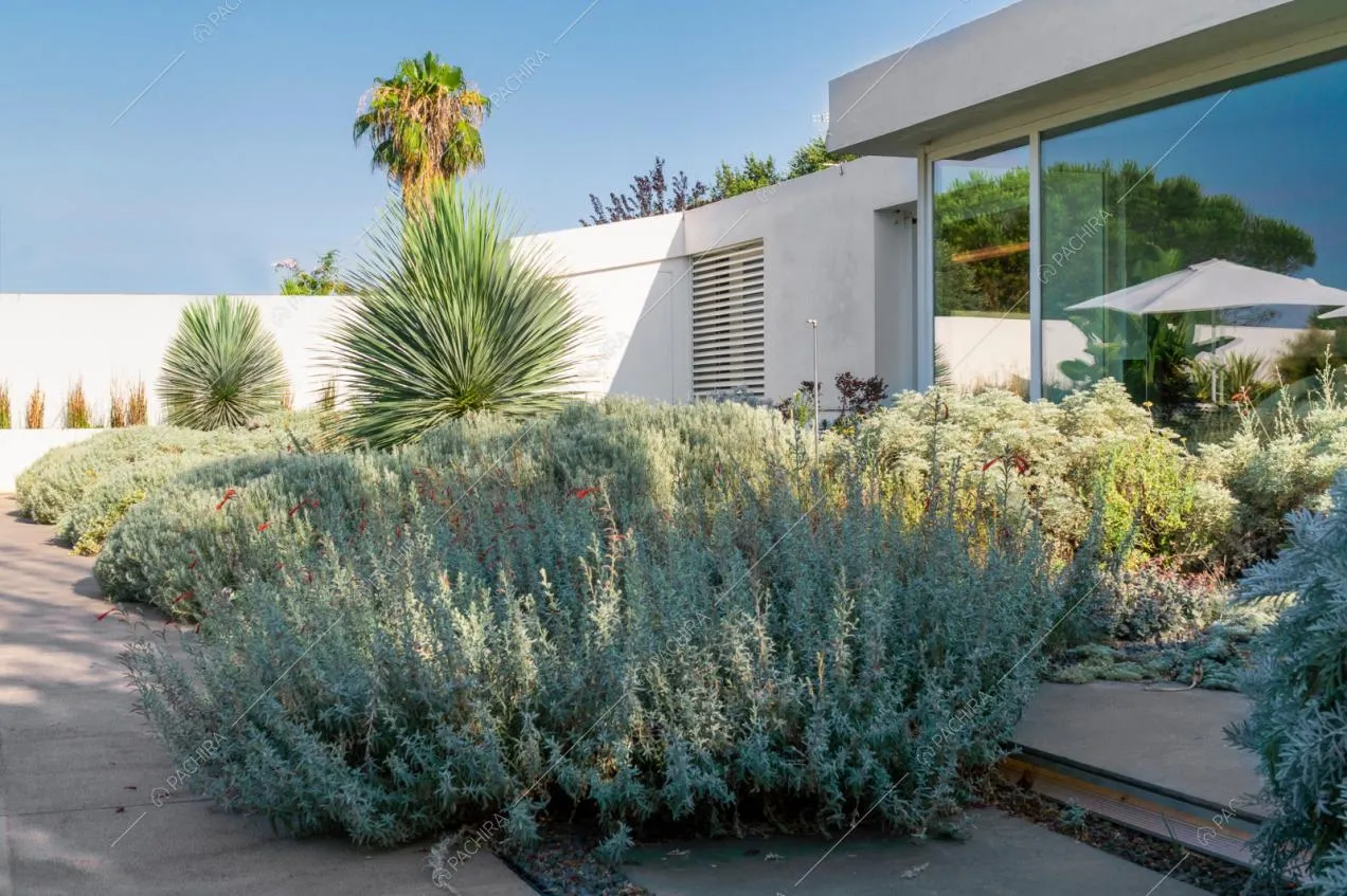 Cespugli del giardino separano la villa dalla piscina