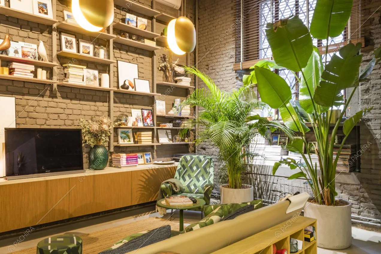 Salotto con libreria, pareti in mattoni a vista e piante verdi